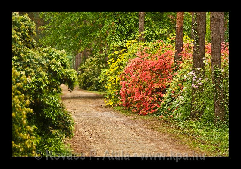 Jeli_Arboretum_037.jpg