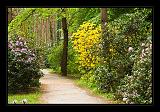 Jeli_Arboretum_028