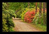 Jeli_Arboretum_037