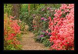 Jeli_Arboretum_045