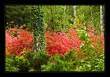 Jeli_Arboretum_053