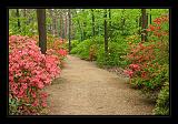 Jeli_Arboretum_064