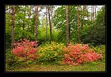 Jeli_Arboretum_072