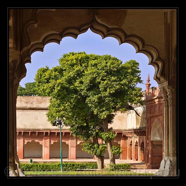 Agra-India_064.jpg