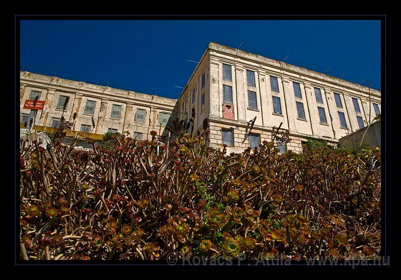 Alcatraz_0029.jpg