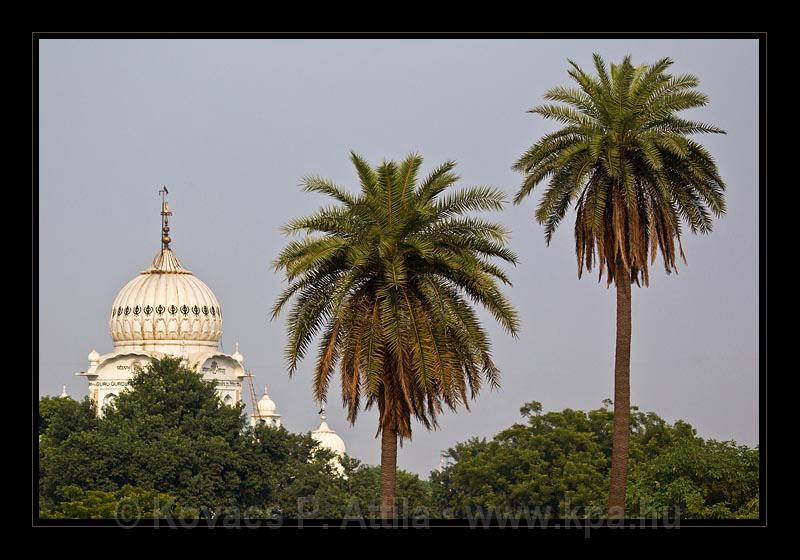 Delhi_045.jpg