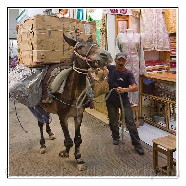 Fes_Marocco_057.jpg