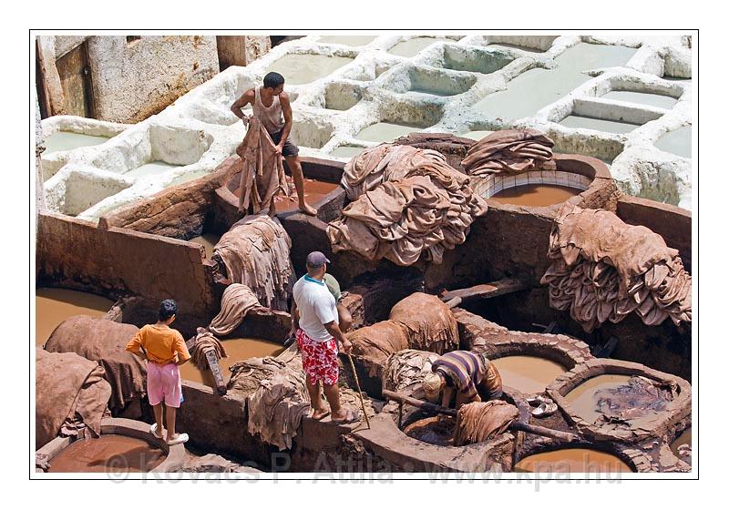 Fes_Marocco_067.jpg