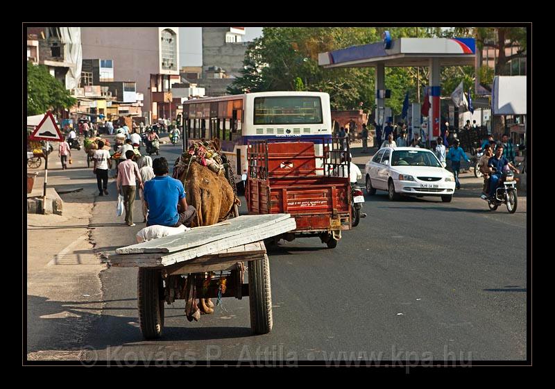 Jaipur-India_013.jpg