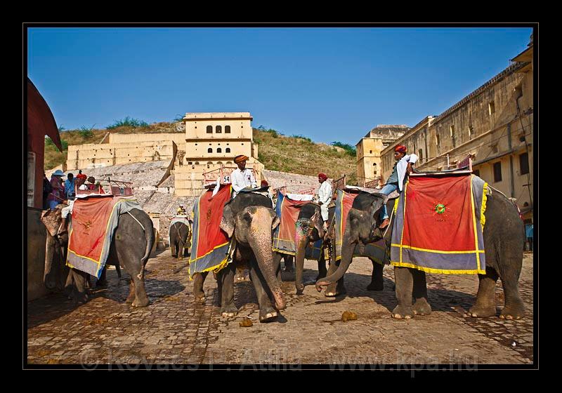 Jaipur-India_018.jpg