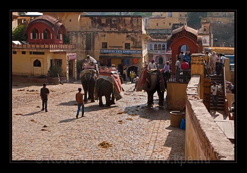 Jaipur-India_019.jpg