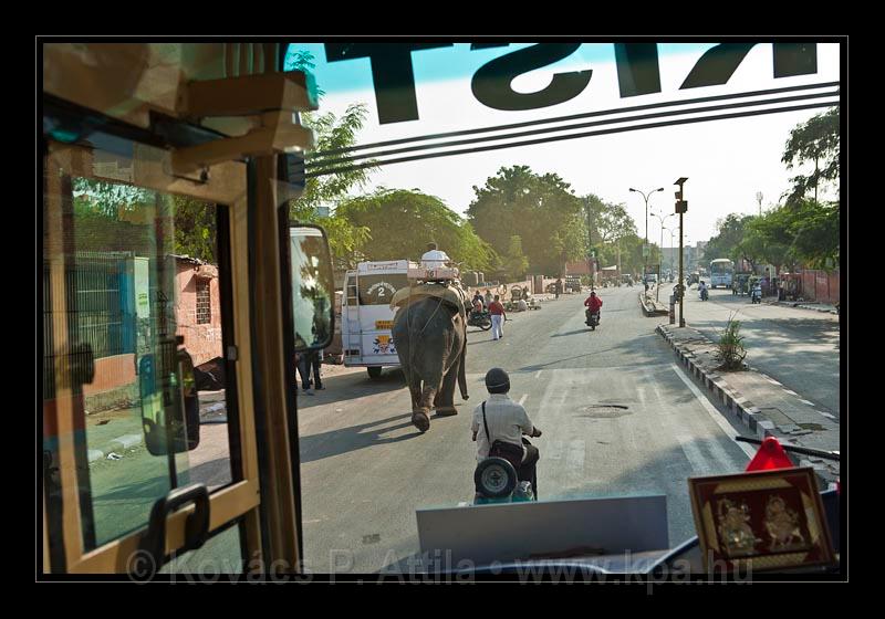 Jaipur-India_101.jpg