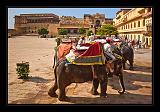 Jaipur-India_030