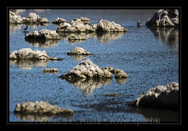 Mono_Lake_USA_012.jpg