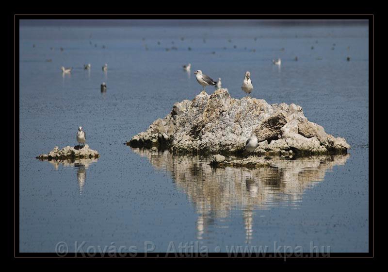 Mono_Lake_USA_016.jpg