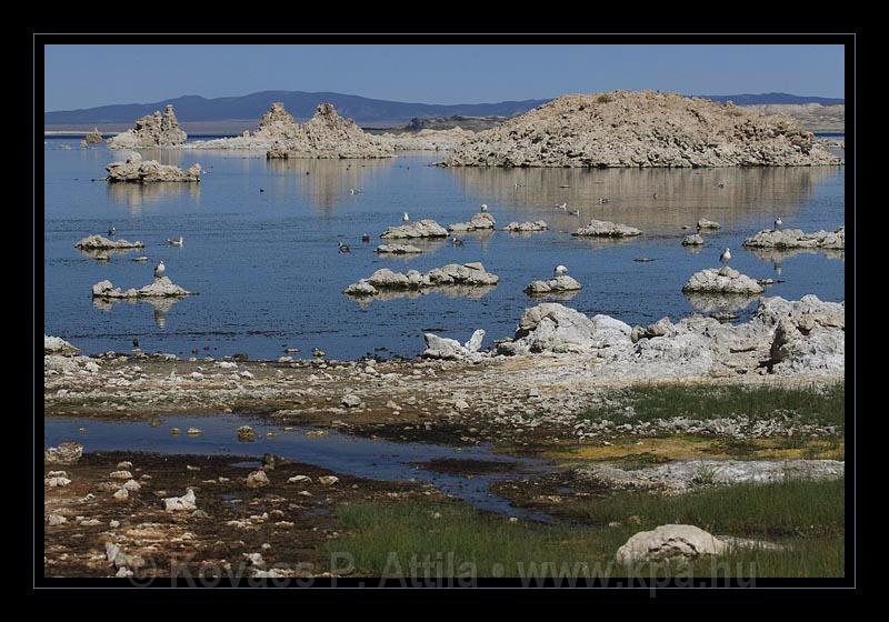 Mono_Lake_USA_028.jpg