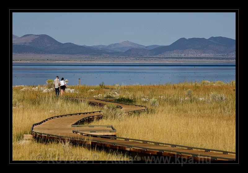 Mono_Lake_USA_034.jpg