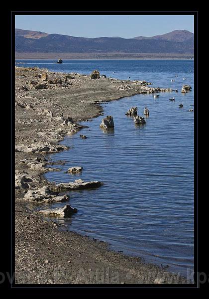 Mono_Lake_USA_038.jpg