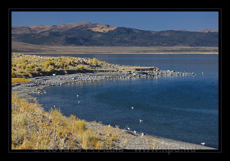 Mono_Lake_USA_063.jpg