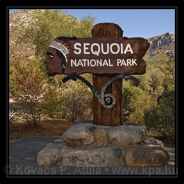 Sequoia_NP_001.jpg