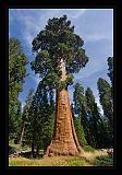 Sequoia_NP_012