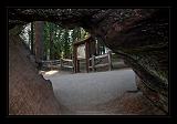 Sequoia_NP_063