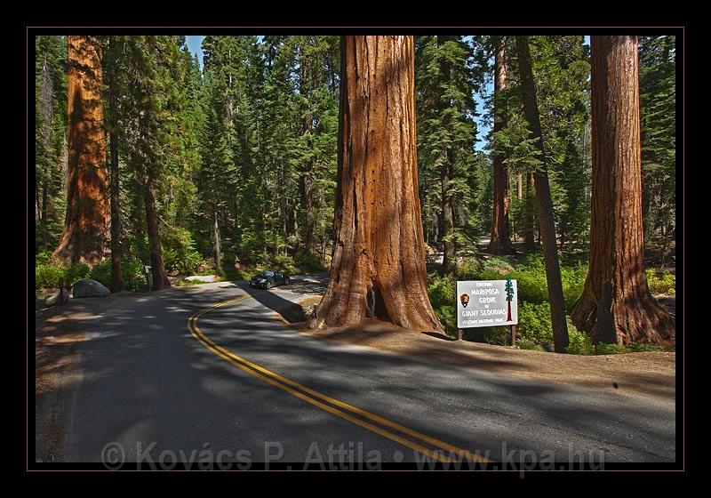 Yosemite_NP_USA_009.jpg