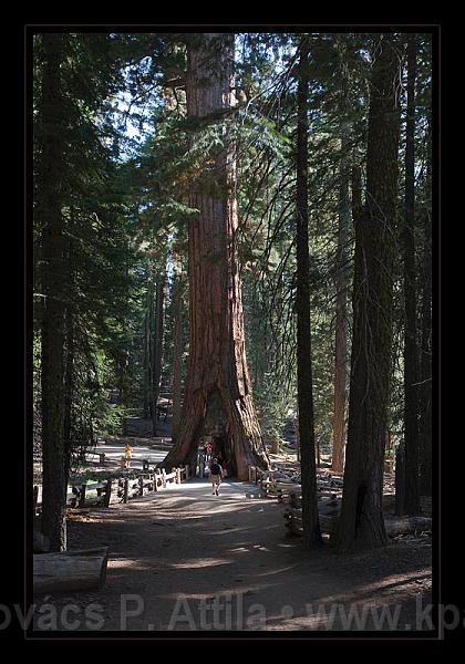 Yosemite_NP_USA_043.jpg