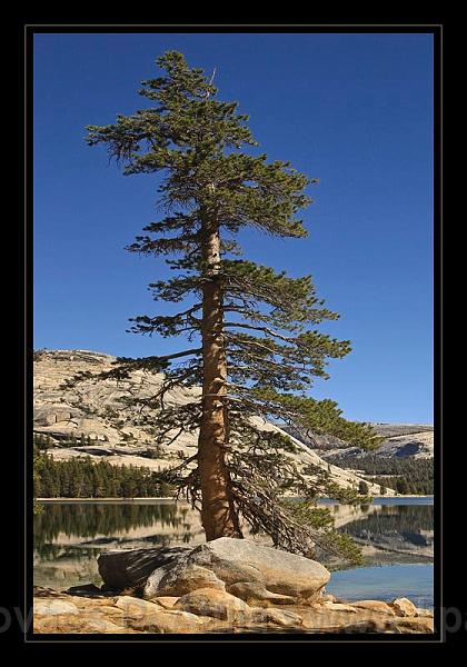 Yosemite_NP_USA_080.jpg