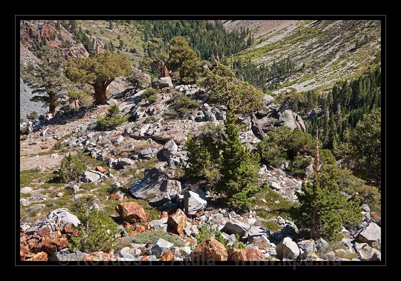 Yosemite_NP_USA_104.jpg