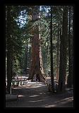 Yosemite_NP_USA_043