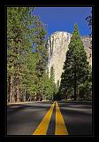 Yosemite_NP_USA_061