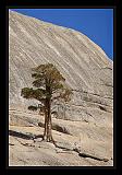 Yosemite_NP_USA_084
