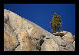 Yosemite_NP_USA_086