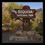 Sequoia_NP_USA